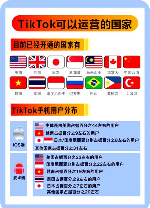 tiktok日本直播加速_TikTok日本市场分析-新闻-TikTok线路,tiktok专线,tiktok节点,原生ip,TikTok直播盒子,SD-WAN