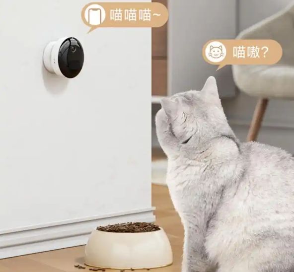 TikTok日本市场分析_tiktok日本直播加速_TikTok Shop日本上线时间