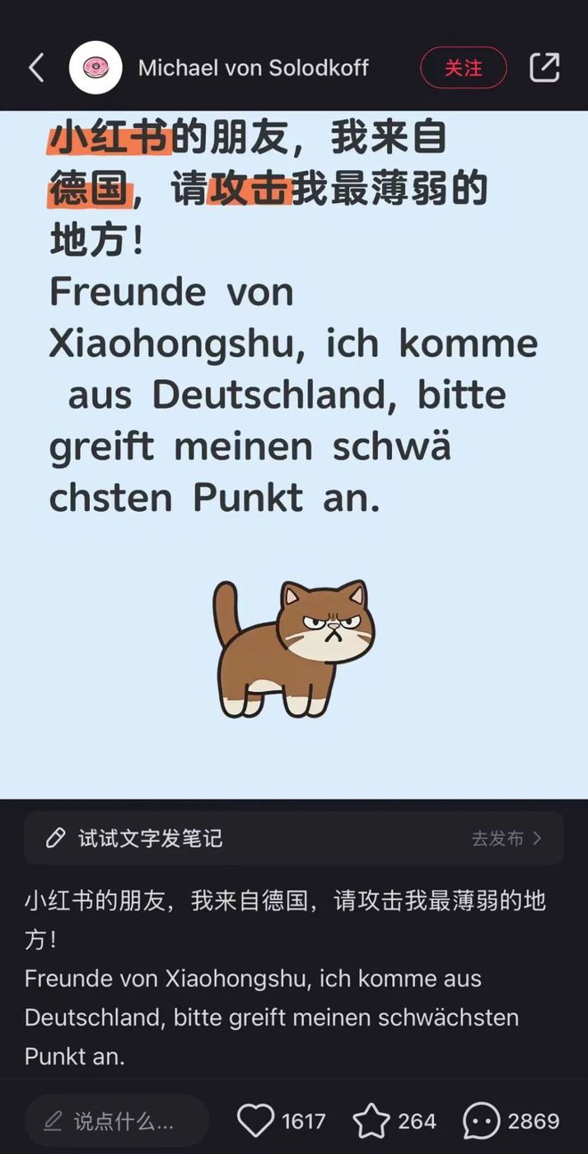 tiktok德国ip_小红书德国下载量_小红书TikTok难民