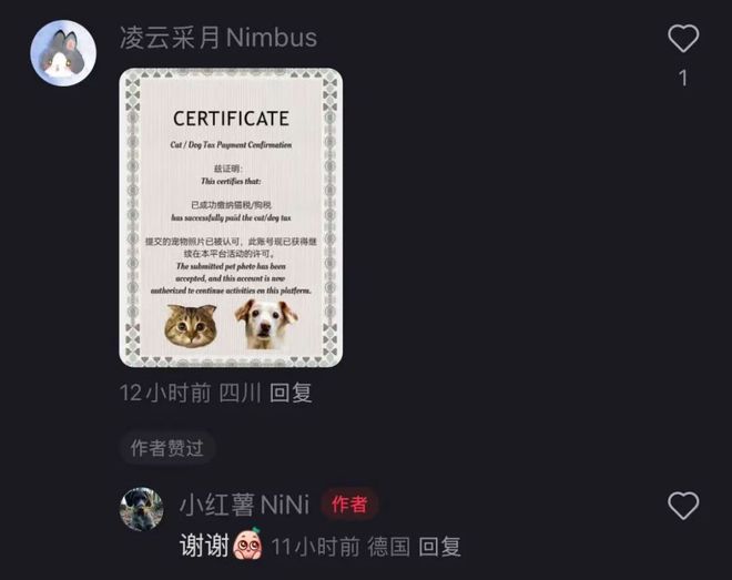 tiktok德国ip_小红书德国下载量_小红书TikTok难民