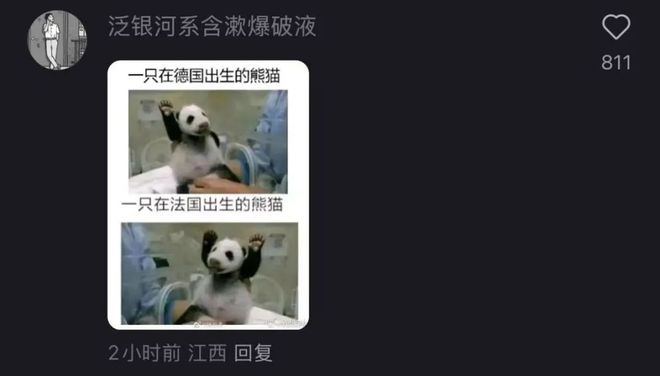 tiktok德国ip_小红书德国下载量_小红书TikTok难民