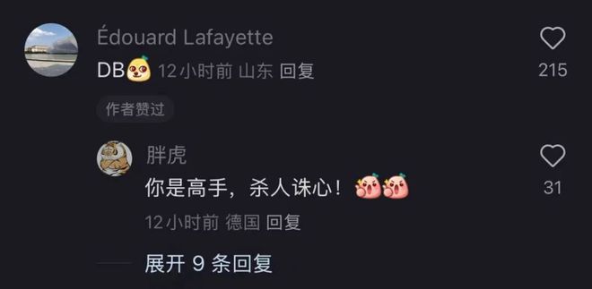 小红书TikTok难民_小红书德国下载量_tiktok德国ip