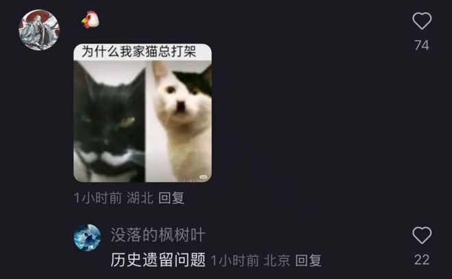 小红书德国下载量_tiktok德国ip_小红书TikTok难民