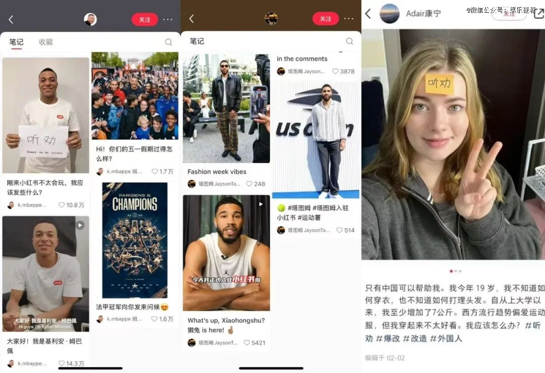2. 小红书国际化升级案例分析_tiktok德国ip_1. 美国免费轰炸机用户迁移小红书