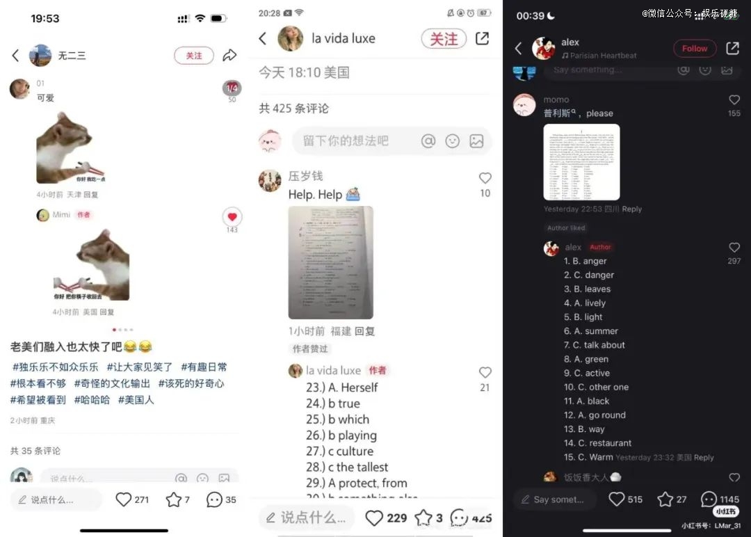 tiktok德国ip_1. 美国免费轰炸机用户迁移小红书_2. 小红书国际化升级案例分析