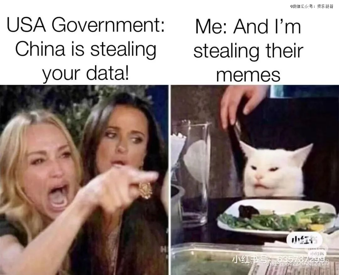 1. 美国免费轰炸机用户迁移小红书_2. 小红书国际化升级案例分析_tiktok德国ip