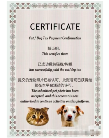 tiktok英国ip_TikTok难民 小红书流量 _ 小红书国际用户增长 