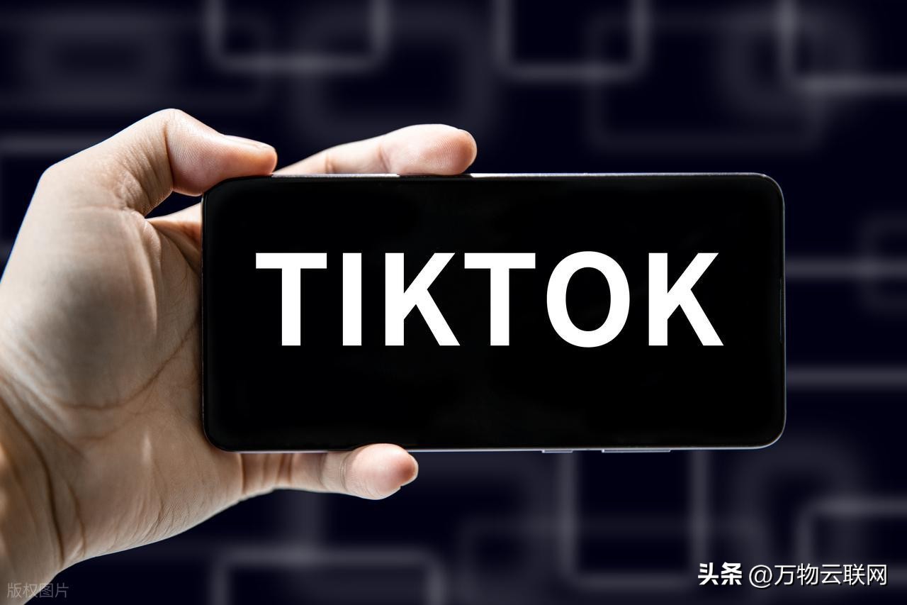 TikTok算法国宝交易难点_美国tiktok节点加速_TikTok禁令延迟90天
